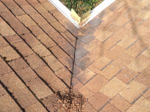 Severe Granule Loss on the Shingles