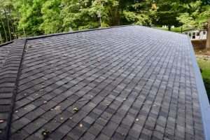 CertainTeed LandMark Pro Georgetown Gray Shingles