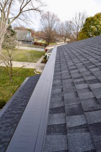 Dennison Exterior Solutions & Gutter Topper with Black Gutter Topper 