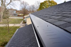 Dennison Exterior Solutions & Gutter Topper with Black Gutter Topper 