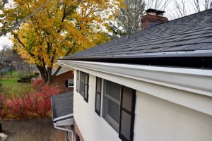 Dennison Exterior Solutions & Gutter Topper