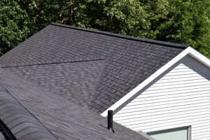 CertainTeed LandMark Pro Moire Black byDennison Exterior Solutions & Gutter Topper