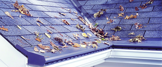 gutter topper with leaves