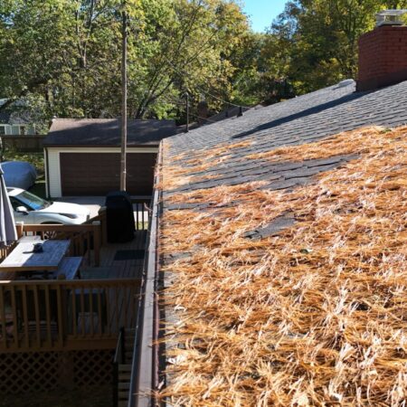 Needle Guard gutter cover keeping pine needles out of the gutter in Benton Harbor, MI