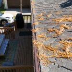 Benton Harbor MI Seamless Gutters Needle Guard Fascia Soffit 09 Pine needles resting on a Royal Brown Needle Guard gutter cover in Benton Harbor, MI
