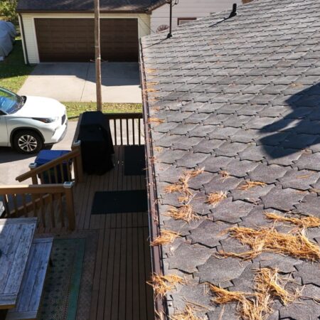 Gutter Topper Needle Guard gutter guard on a Benton Harbor, MI home