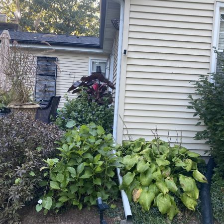 White downspout and black seamless gutter with Gutter Topper in Hobart, IN