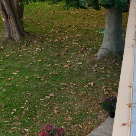 Gutter Topper running along a low-pitch roof in St. Joseph, MI